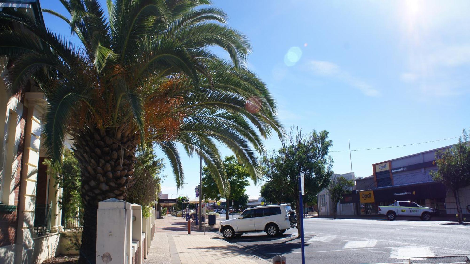 Motel Myall Dalby Bagian luar foto